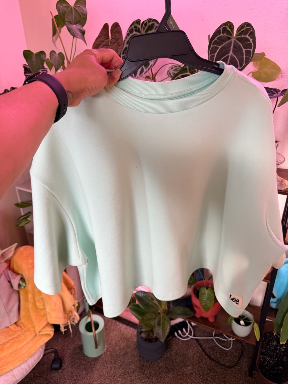 Lee Mint Green Cropped Sweatshirt